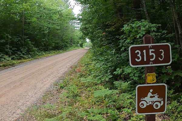 Old Brimley Grade - FS 3153