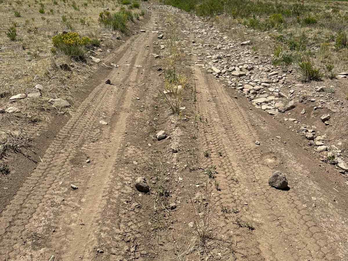 Pony Creek Road photo 2