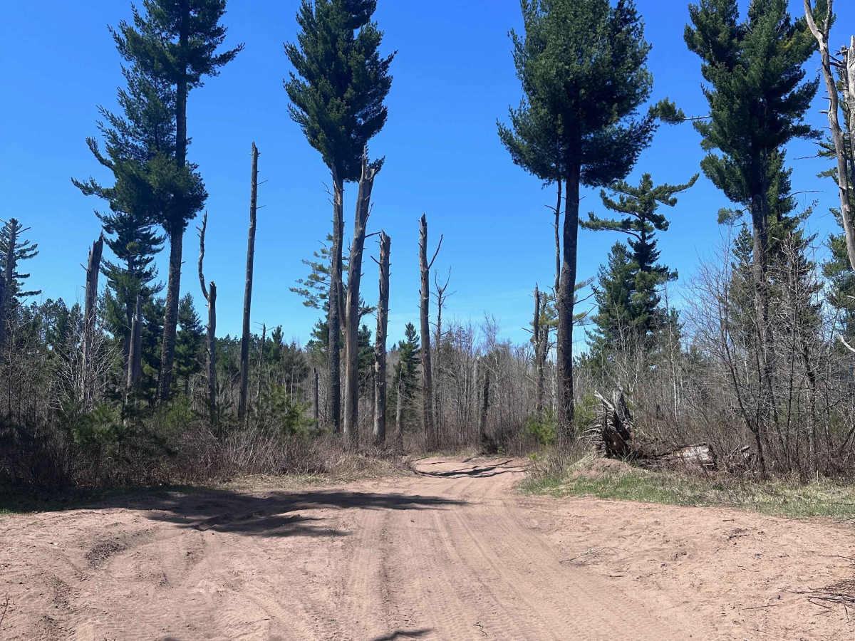 Grace Lake Trail photo 5