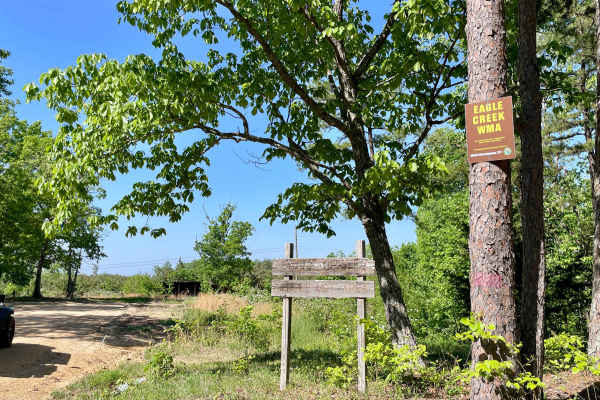 Copeland Ridge Road–Eagle Creek WMA