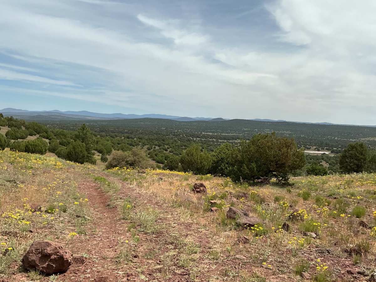 FS 9243P trail photo