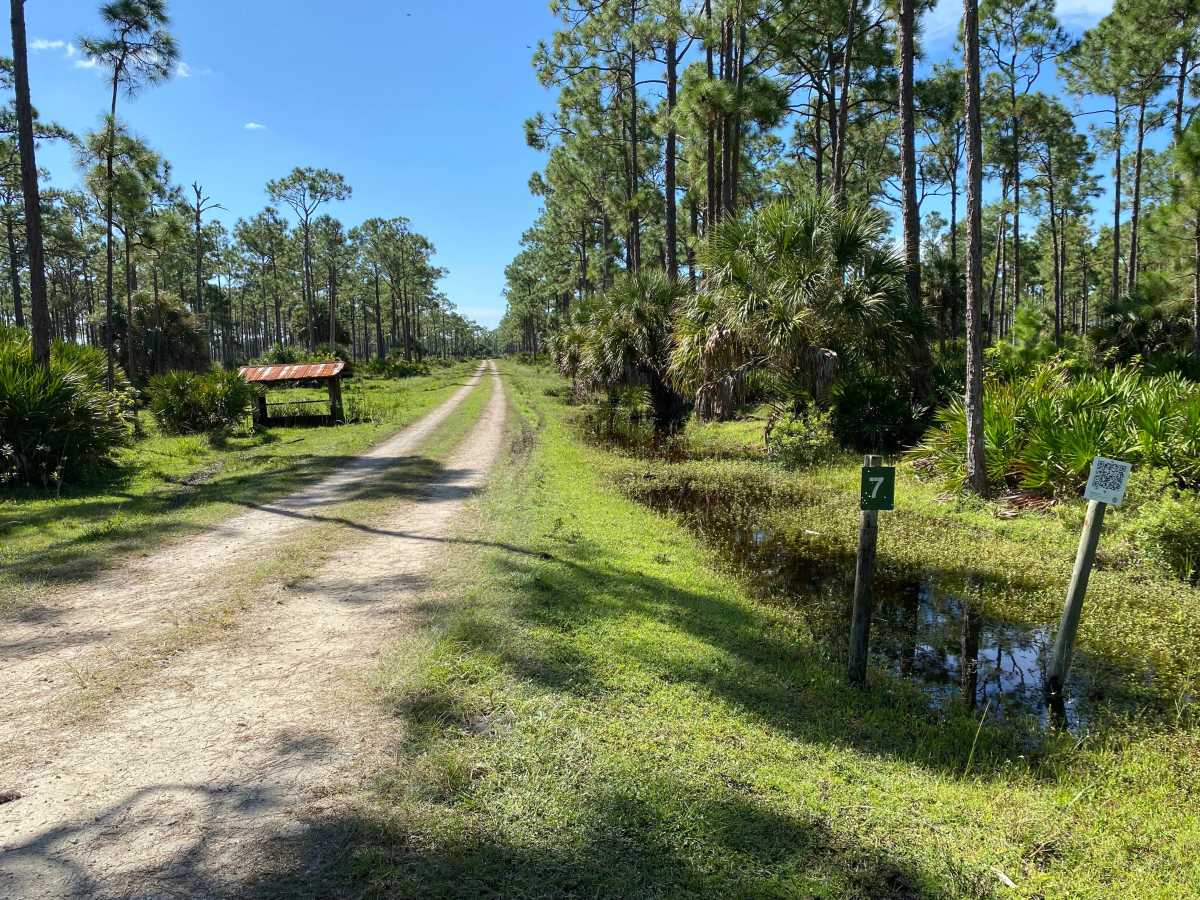 Road 7 trail photo