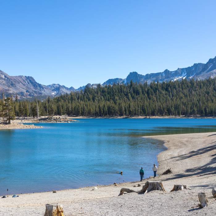 Near Lakes Basin Path Near Lakes Basin Path