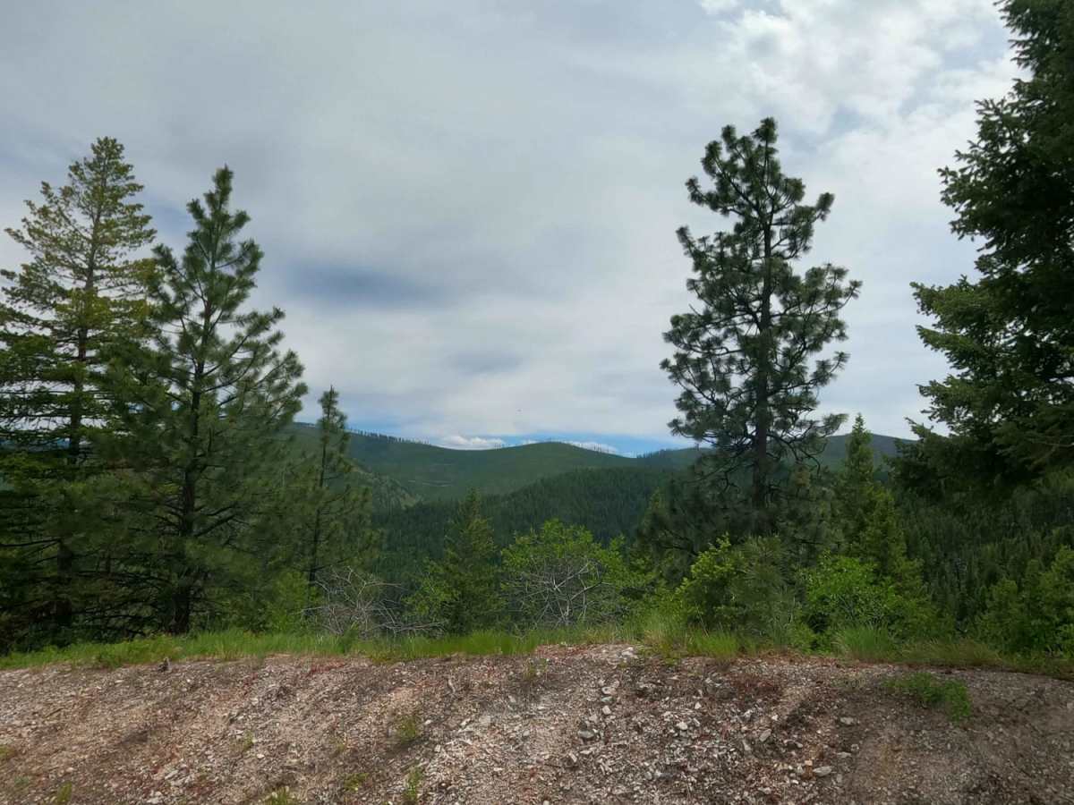 West Fork Petty Creek Road 22 photo 3