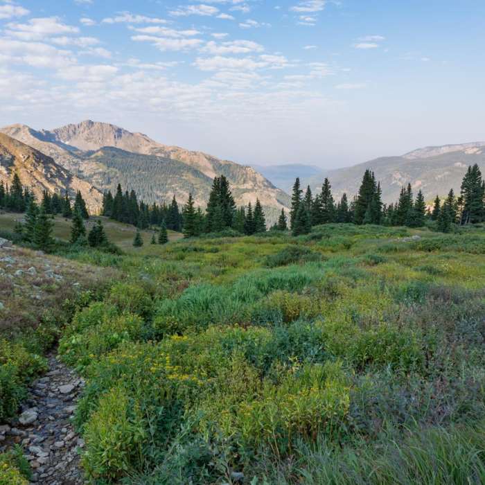 Near Pawnee-Buchanan Loop