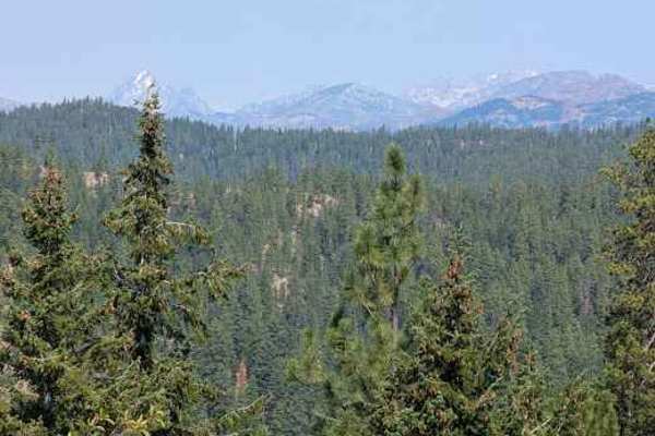 Cougar Spur - FS 9718-118