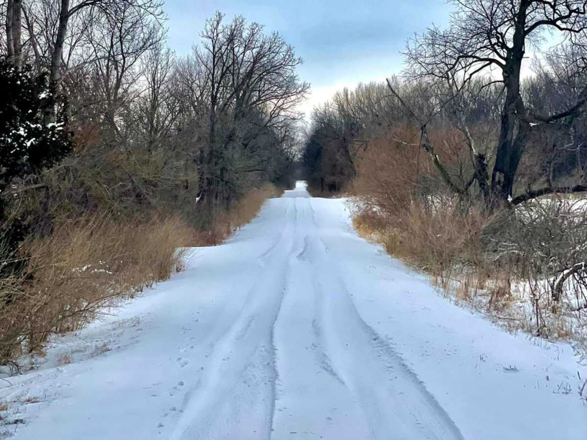 Hawkeye Wildlife Area Loop trail photo