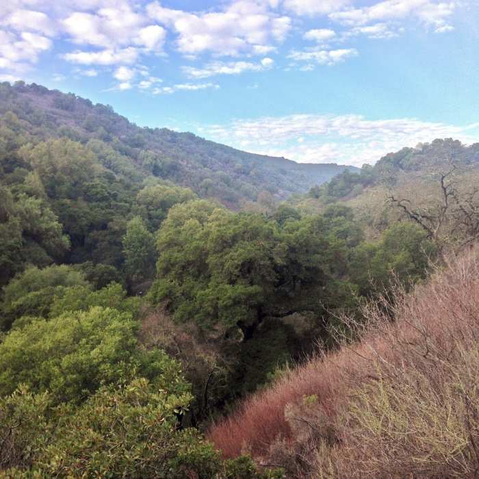 Near Rancho Ridge Loop