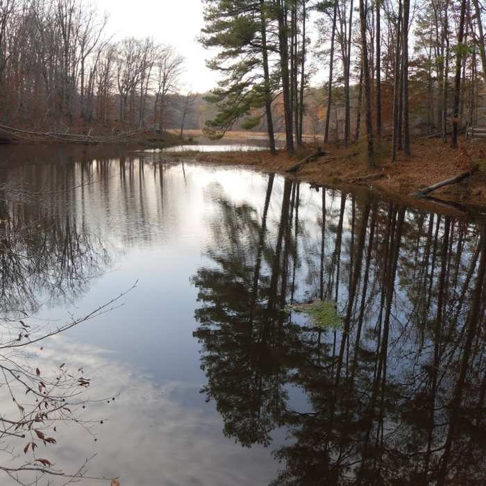 Beaver Lake Near Old Mill Trail - Beaver Lake Trail
