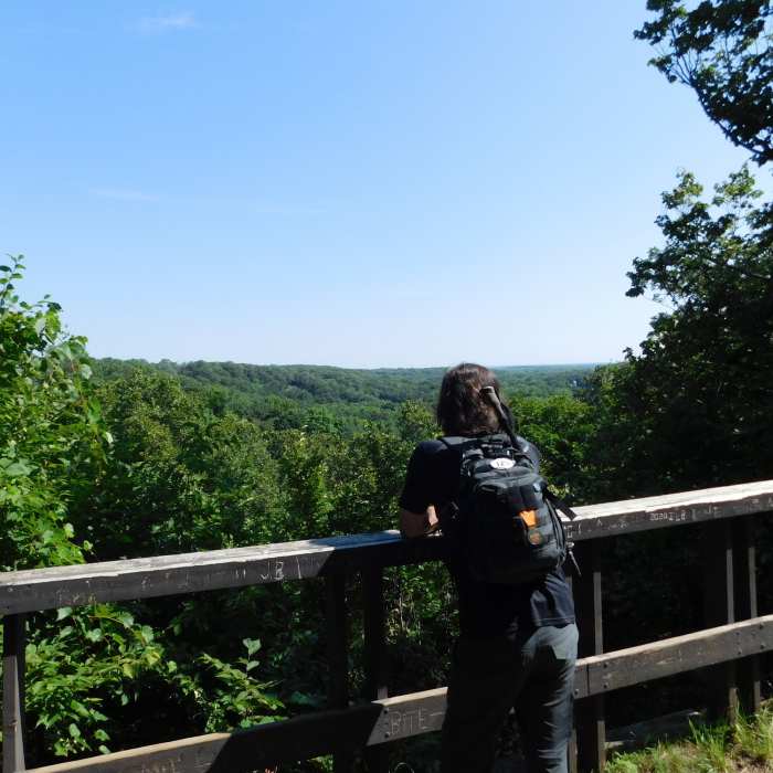 Near Lookout Trail