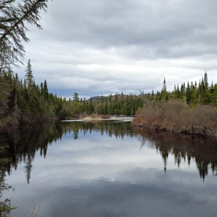 Near Pinguisibi Trail