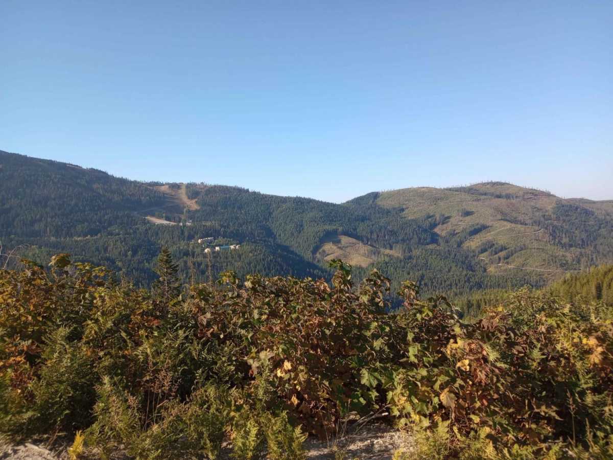 Mt Spokane via IEP Backroads photo 2