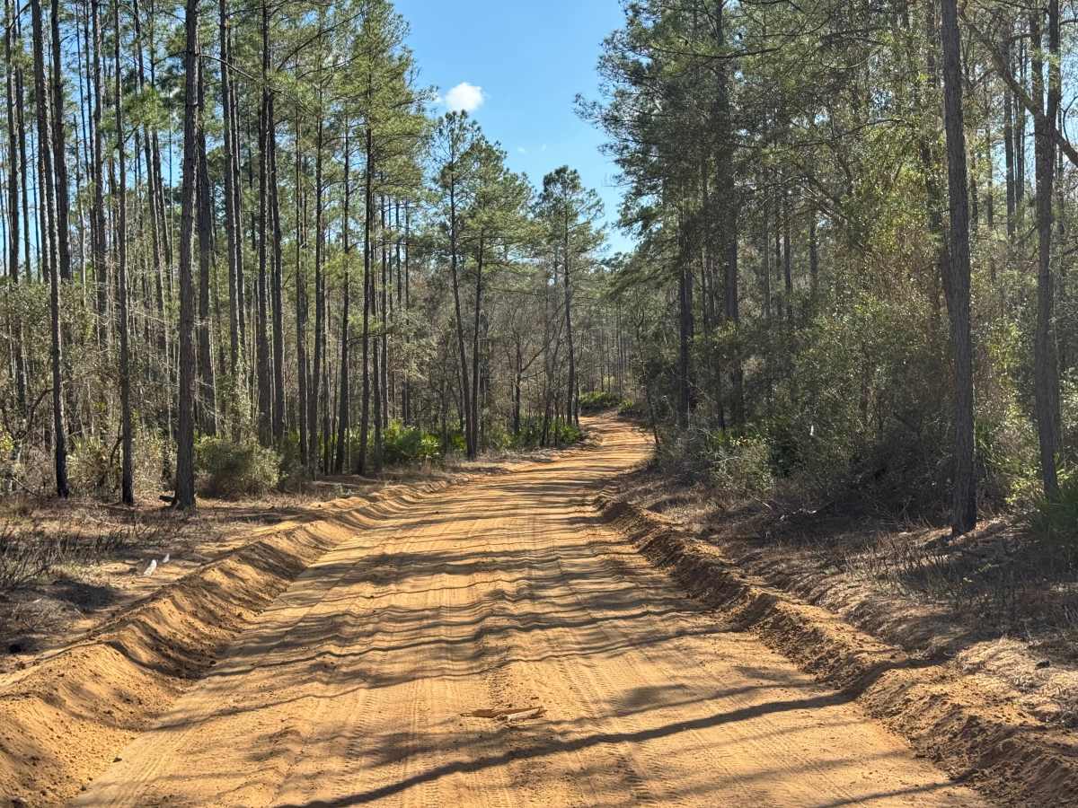 Middleton Lake Road photo 6