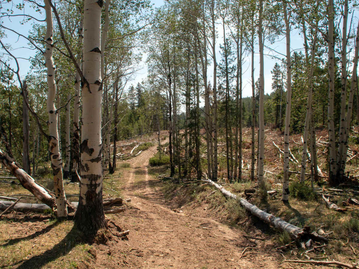 77 Flat Road - FS 10275 photo 3