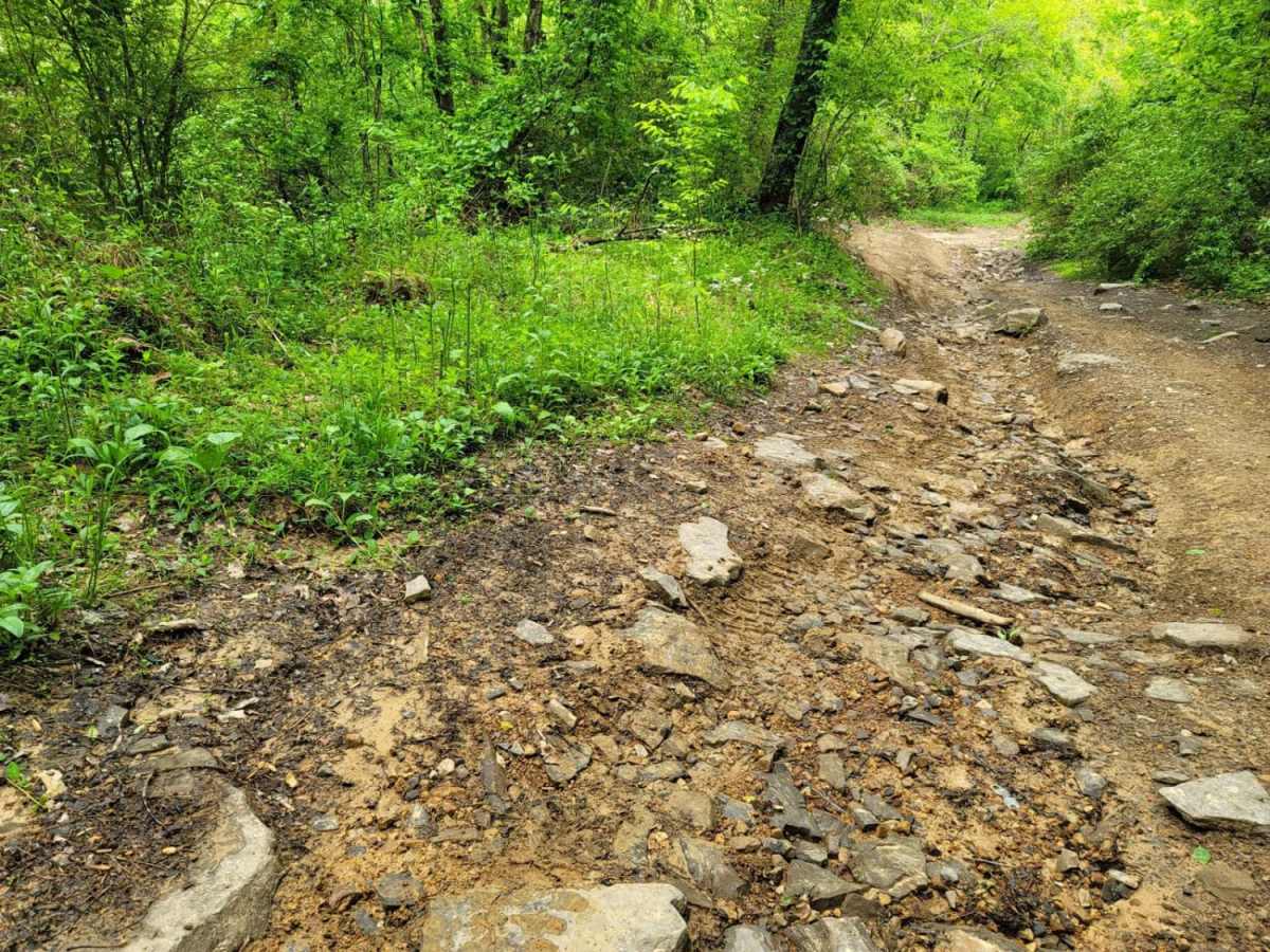 74 - Middle Ridge photo 3