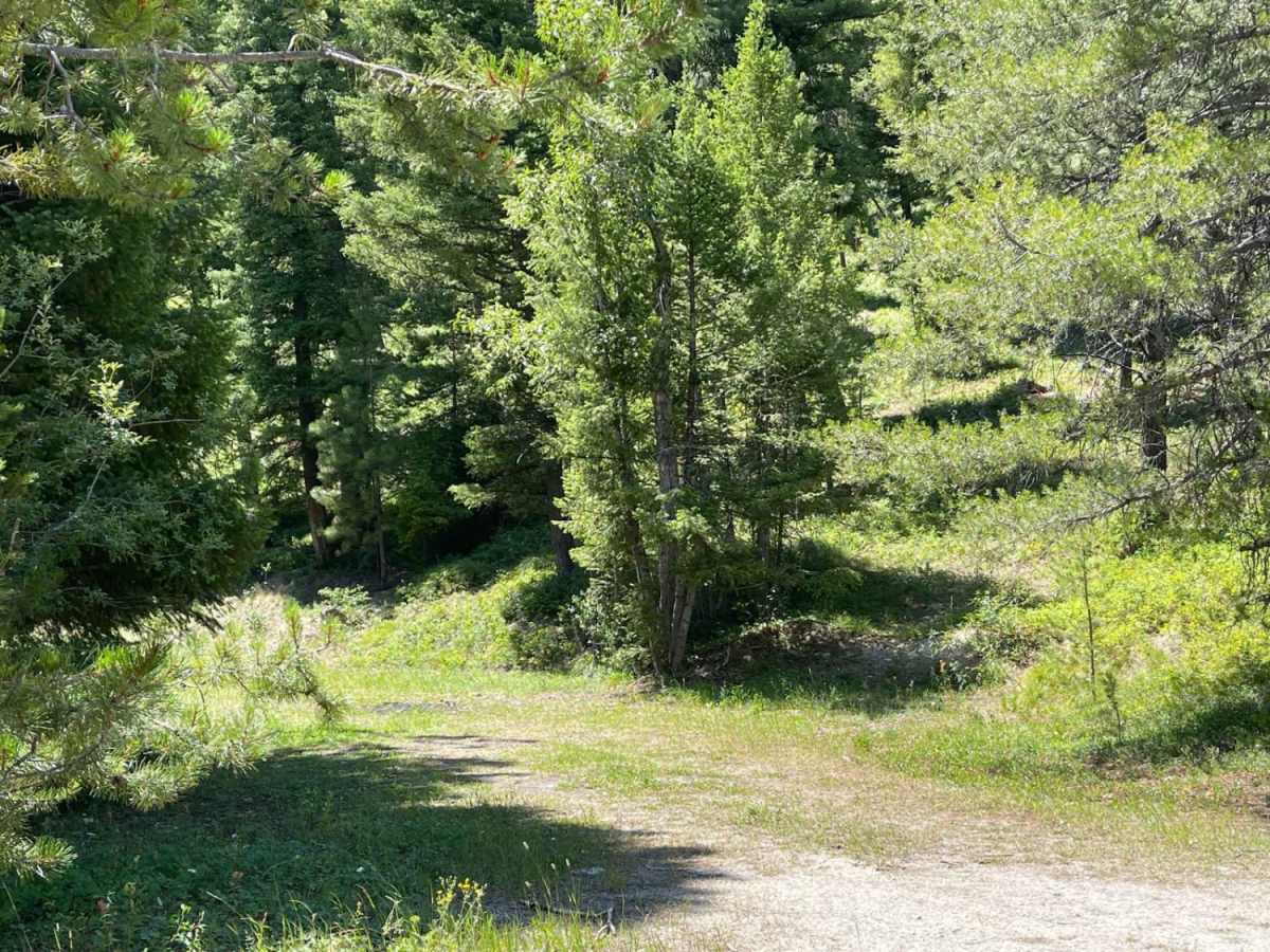 Medicine Point Trailhead photo 4