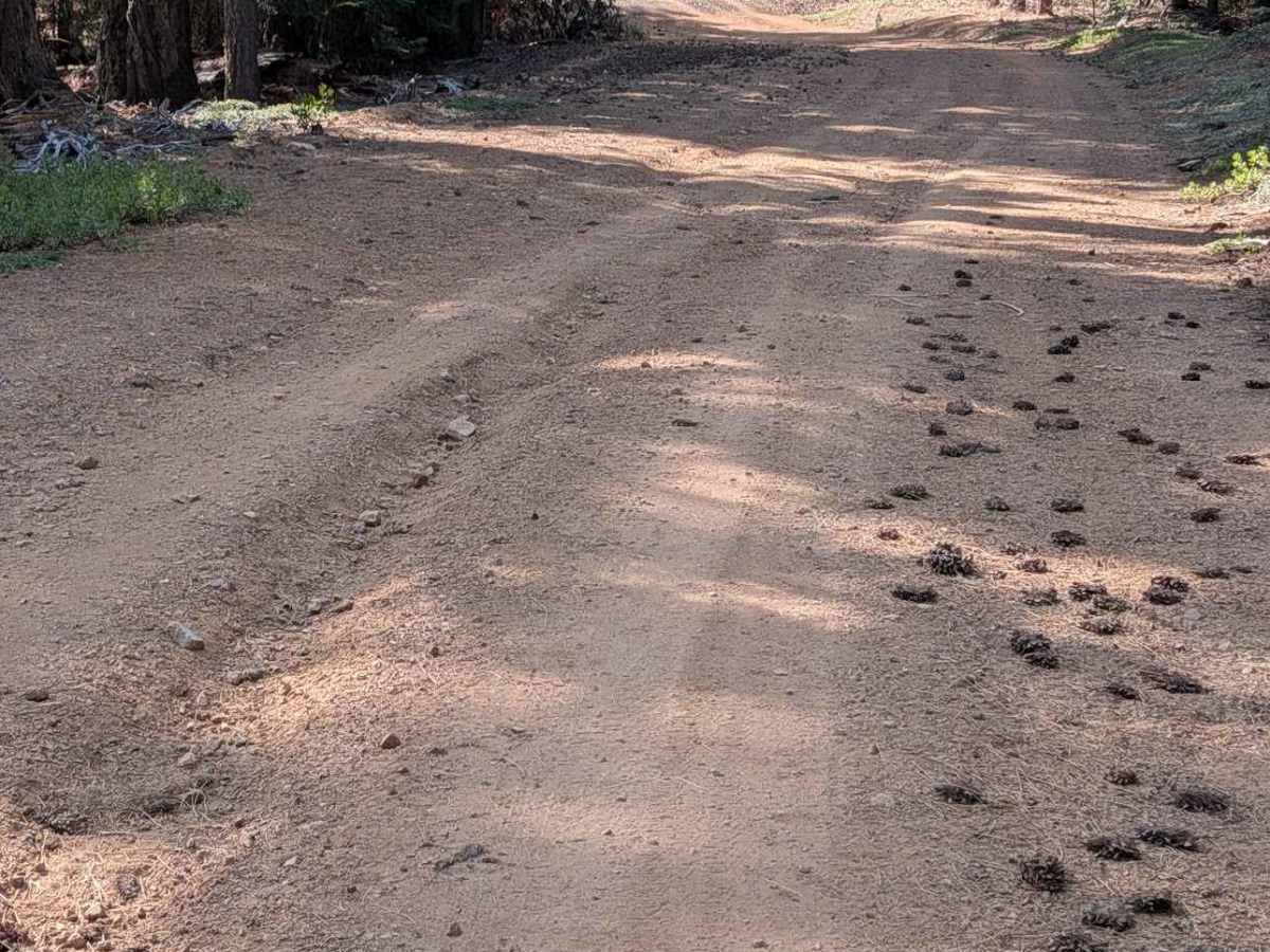 West Tule Road - FS 31N66 photo 5