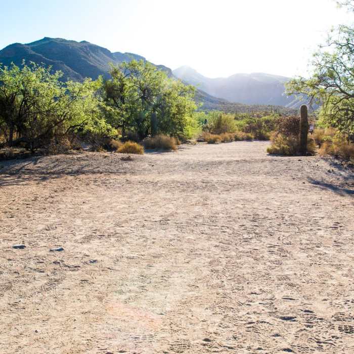 Near Bear Canyon to Seven Falls Trail