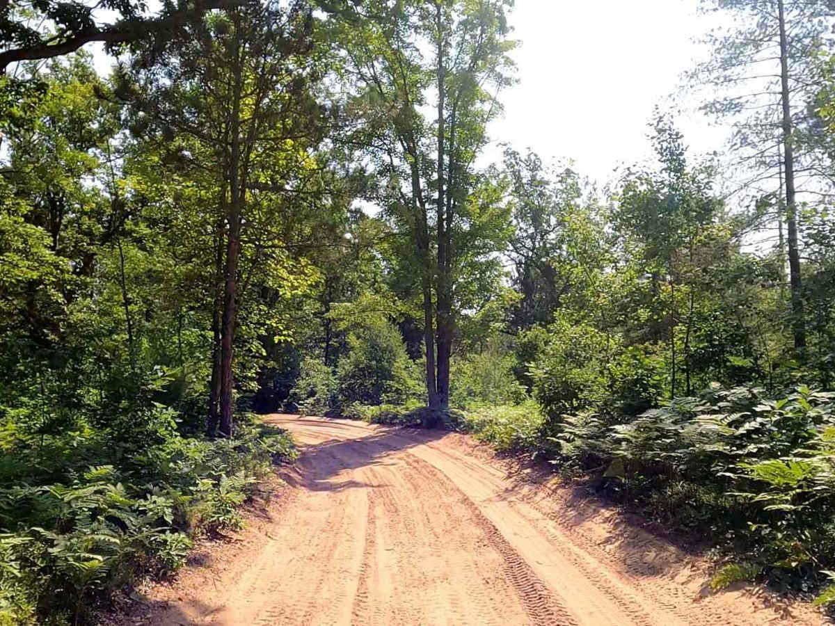 North Missaukee Route & MCCCT Trail/Africa Loop photo 2