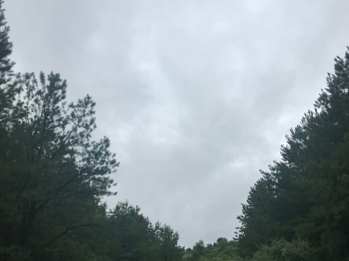 Anderson Meadows  photo 4