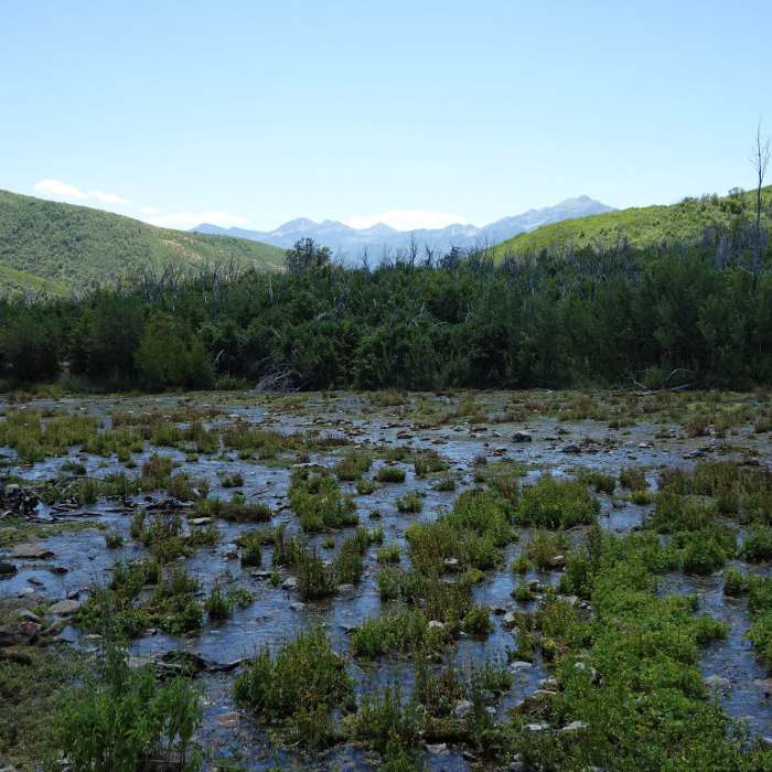 Near Cascade Springs Interpretive Loop