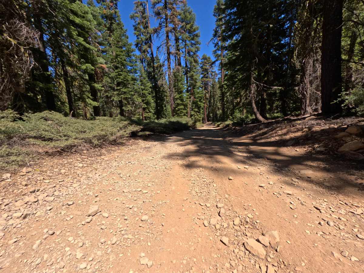 Watson Access - FS 16N71 trail photo