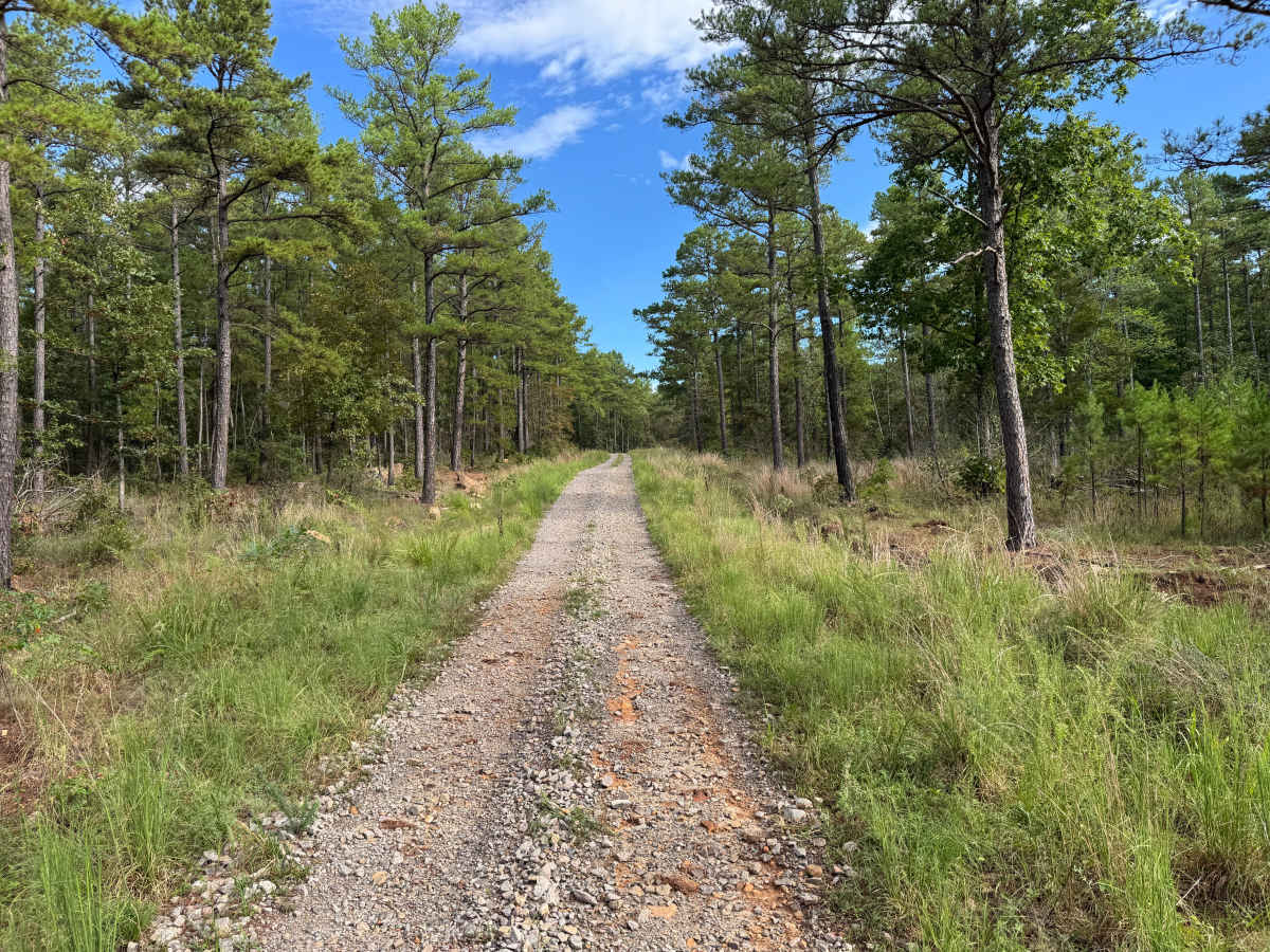 Hunter Branch photo 4