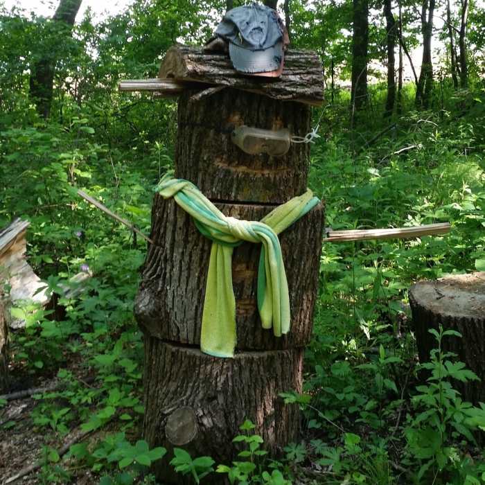 Someone to cheer you on Near William O'Brien Tour