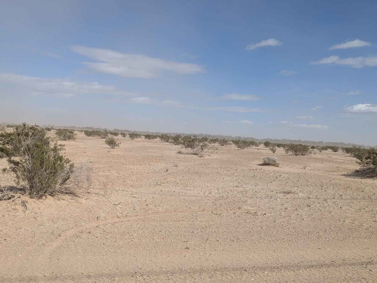 BLM 326 SE photo 4