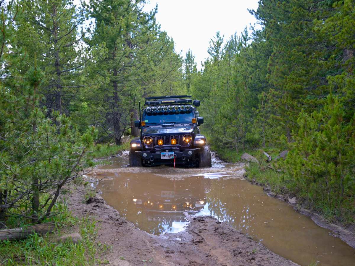Trout Creek Peak to Lost Park - FS 55 trail photo