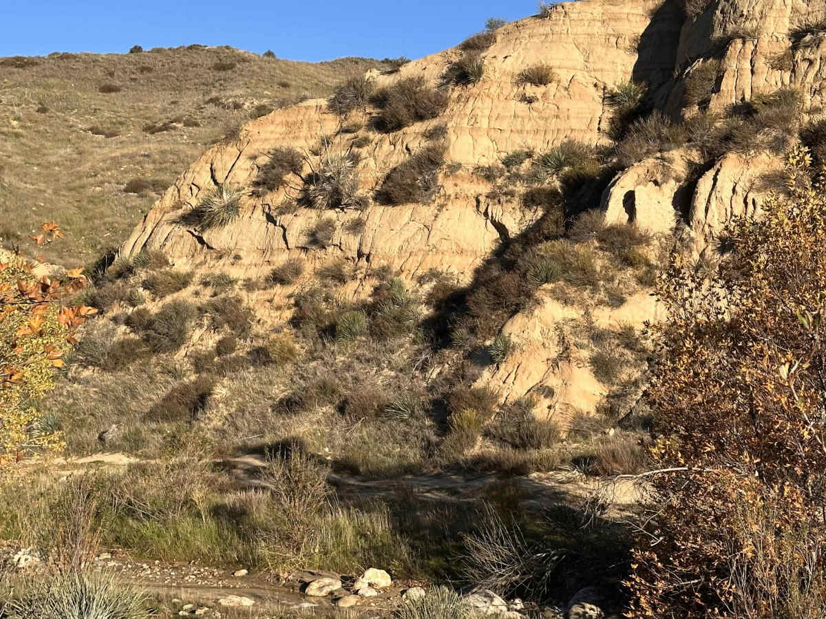 Cleghorn CA-15 Overlook photo 5