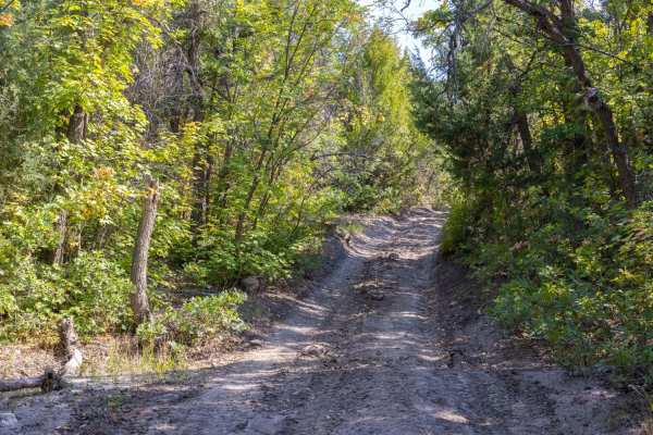 Birch Creek Trail