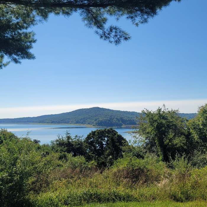 Near Cushetunk Trail