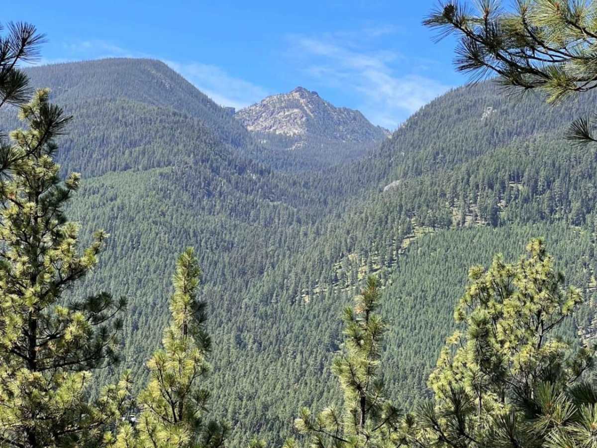 Tin Cup Creek trail photo