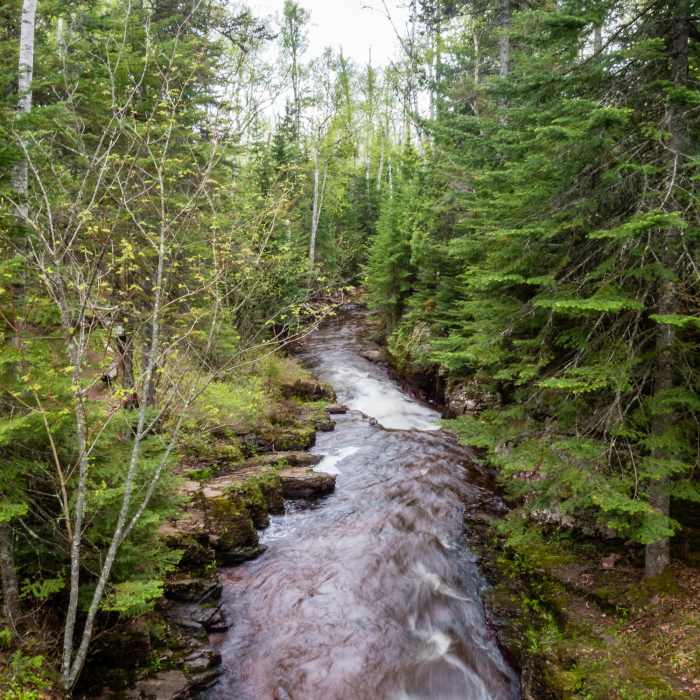 Near Kadunce River Wayside Trail