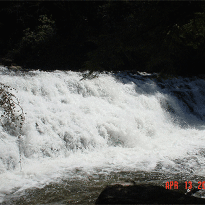 Near Coker Creek Falls Trail