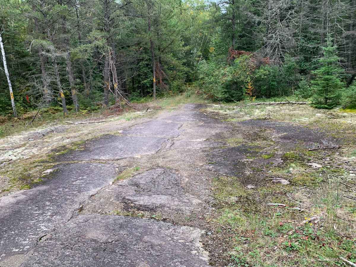 Northwest Spur B Trail - FS 373B photo 3