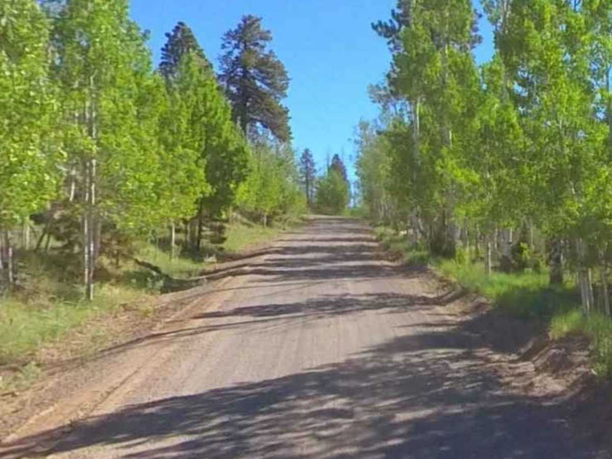 Hells Backbone - NF153 photo 3