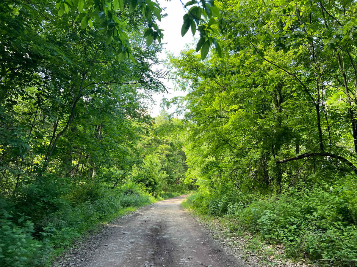 KC5 Five Mile Road photo 3