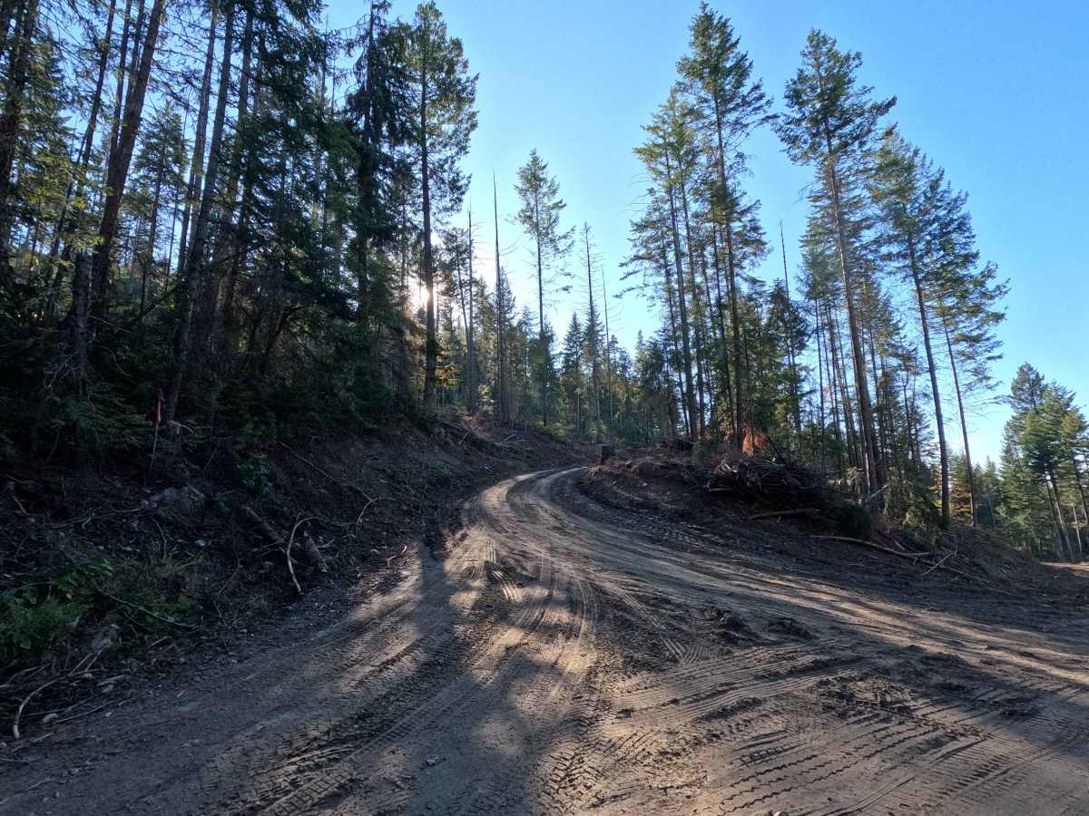FS 9517425 trail photo