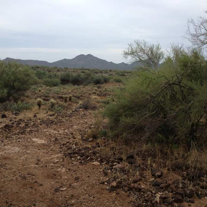 Near Maricopa Regional Trail: Spur Cross to Cave Creek Park