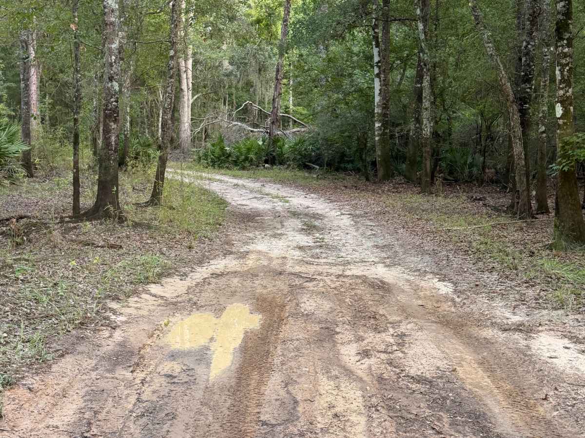 Lower Road photo 4