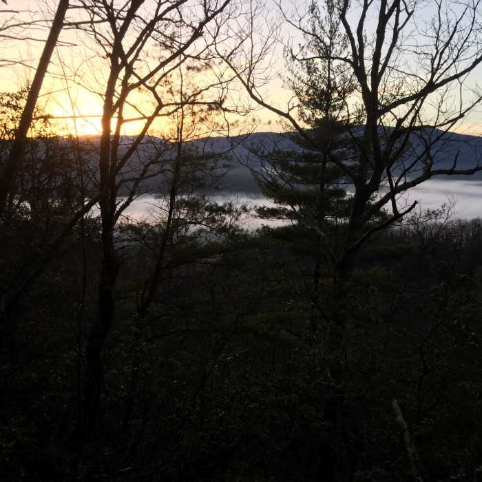 Near Pinnacle Mountain Tower Trail