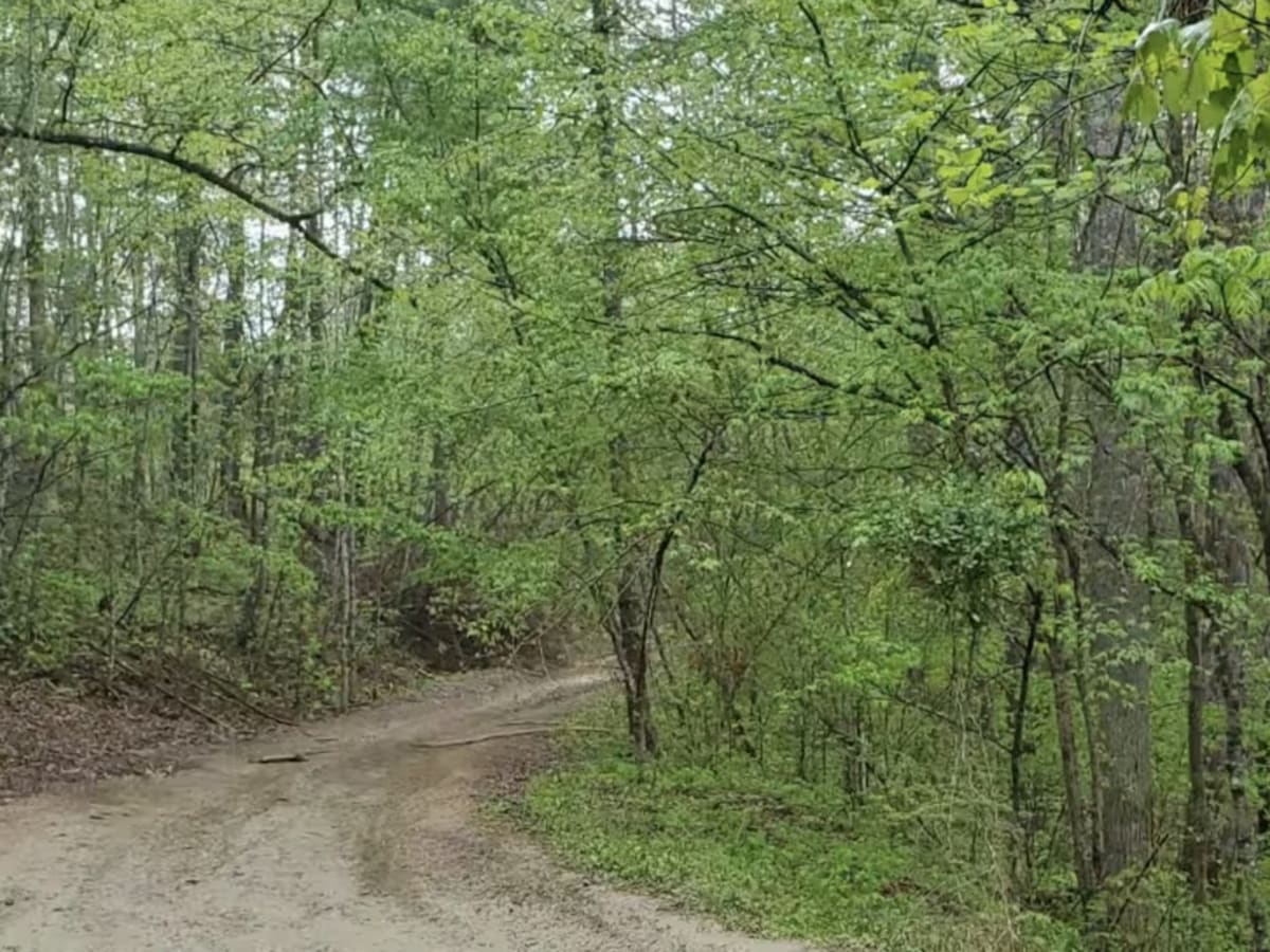 Zachariah 4WD Trail photo 6