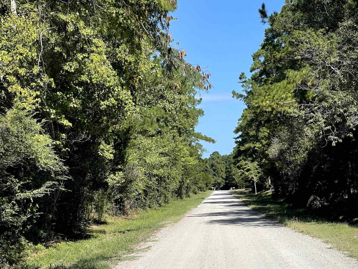 Redwood Road photo 5