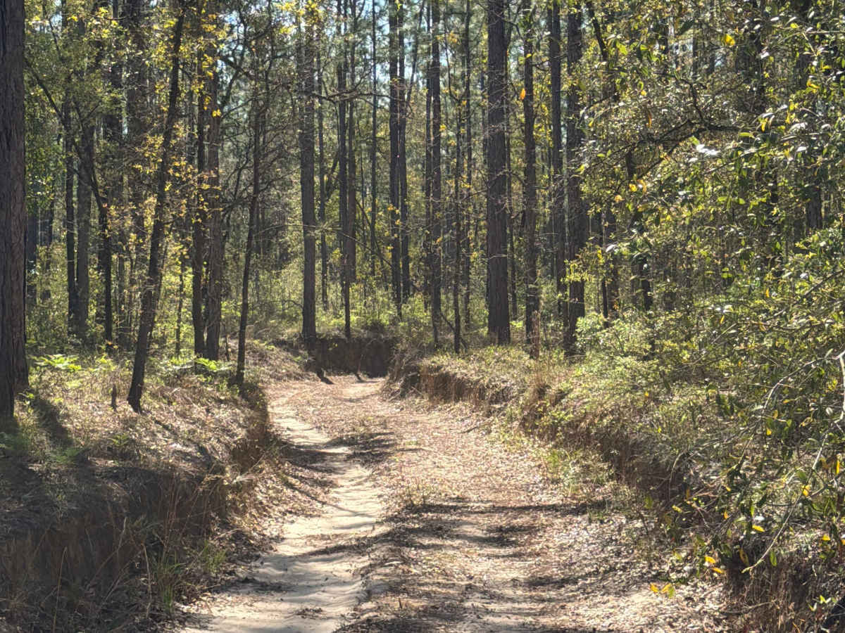 Penny Creek Road photo 4