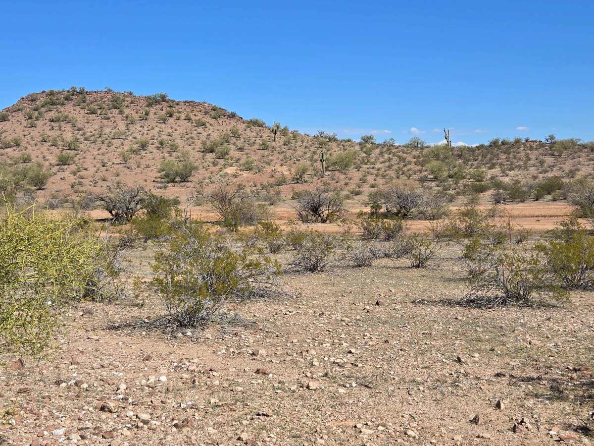 Cut Across the Grassy Plain (Trail 41056/9104) photo 3