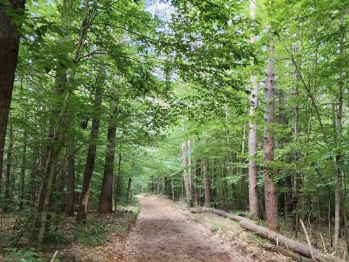 Cleveland Lake Road photo 2