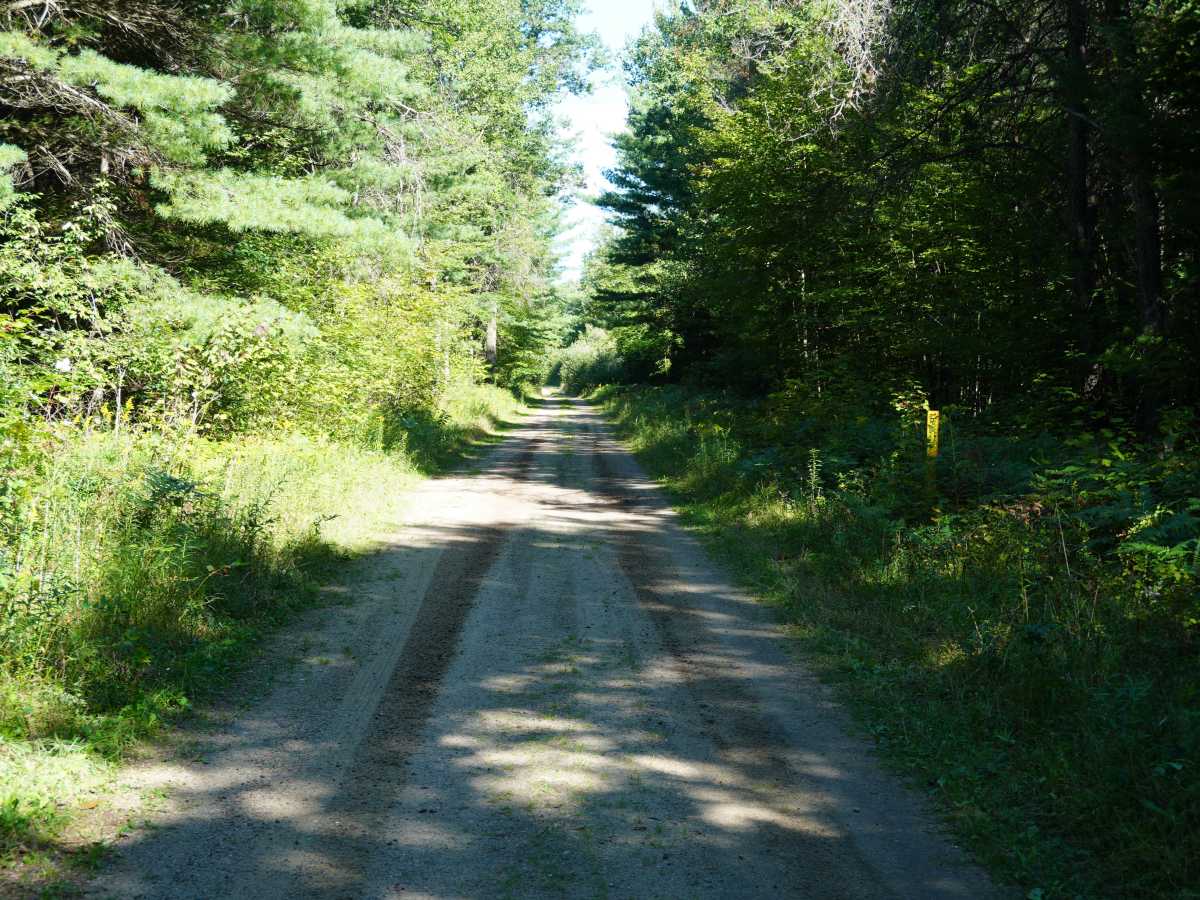 Tillman Road photo 6