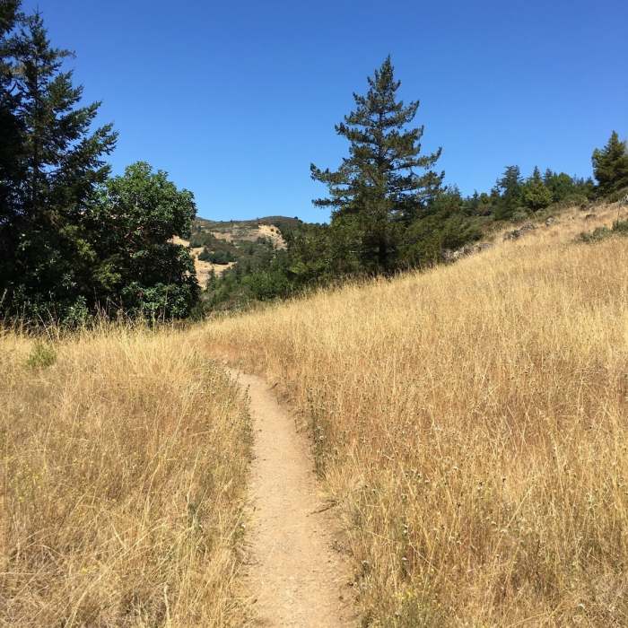 Near Rocky Ridge and Alpine Lake